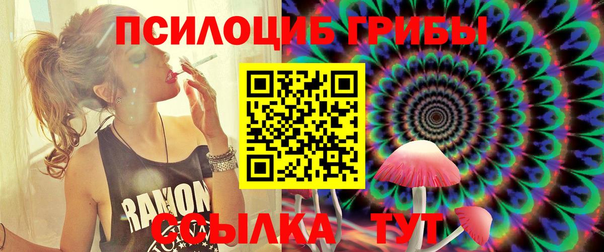Галлюциногенные грибы мицелий Саратов