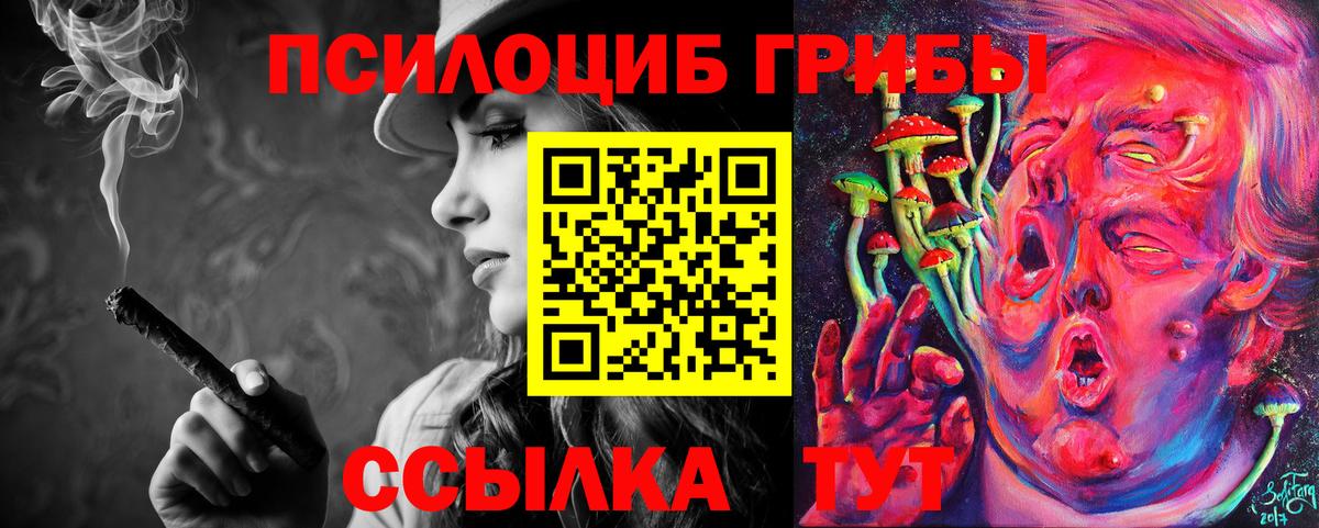 наркота  Галлюциногенные грибы Psilocybine cubensis  Вход с VPN  Саратов 